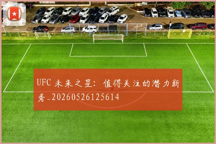 UFC 未来之星:值得关注的潜力新秀_20260526125614