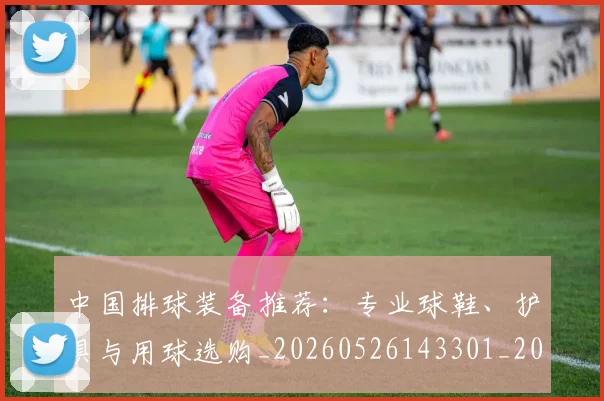 中国排球装备推荐:专业球鞋、护具与用球选购_20260526143301_20260608142332